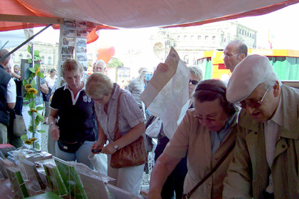Stadtfest Dresden 2008